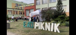 grafika
